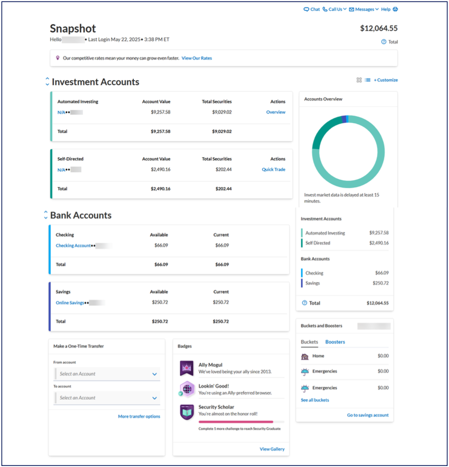 Ally Interface Screenshot